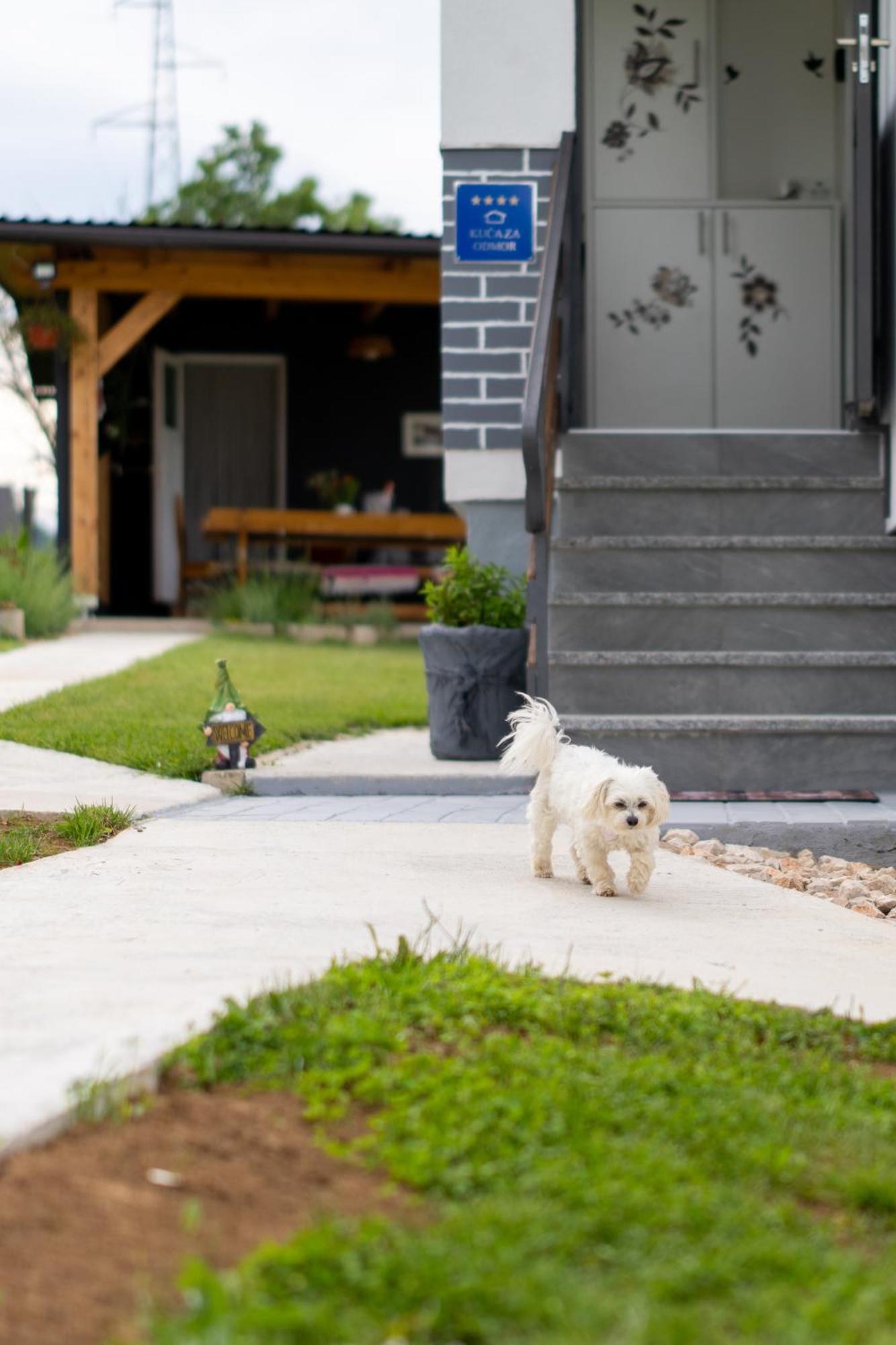 Villa Kuca Za Odmor Belina à Otočac Extérieur photo